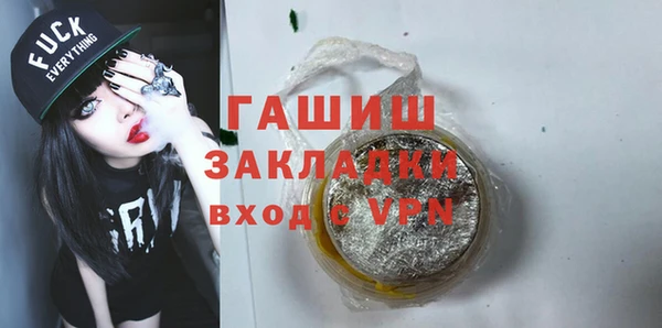 сатива Новозыбков