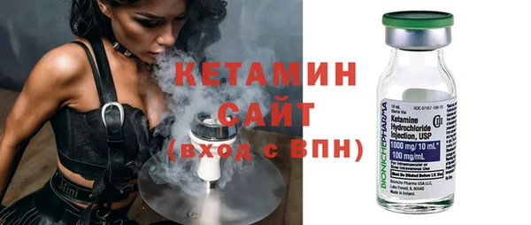 сатива Новозыбков