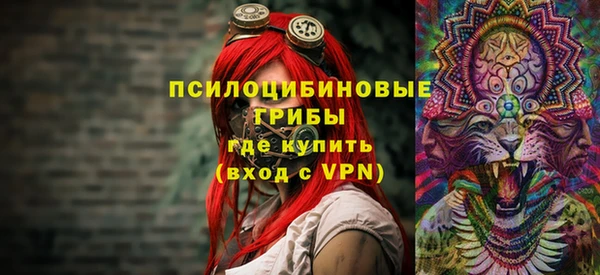 гидра Нязепетровск