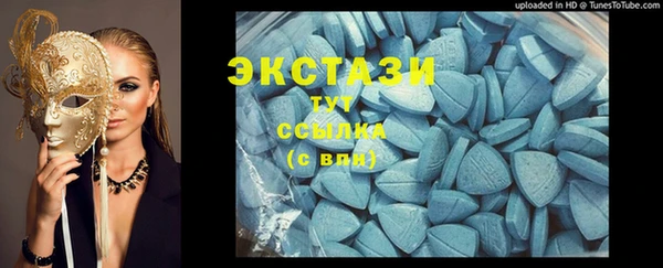 сатива Новозыбков