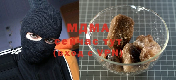 сатива Новозыбков