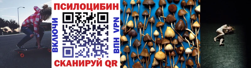 Галлюциногенные грибы Psilocybe  Камбарка 